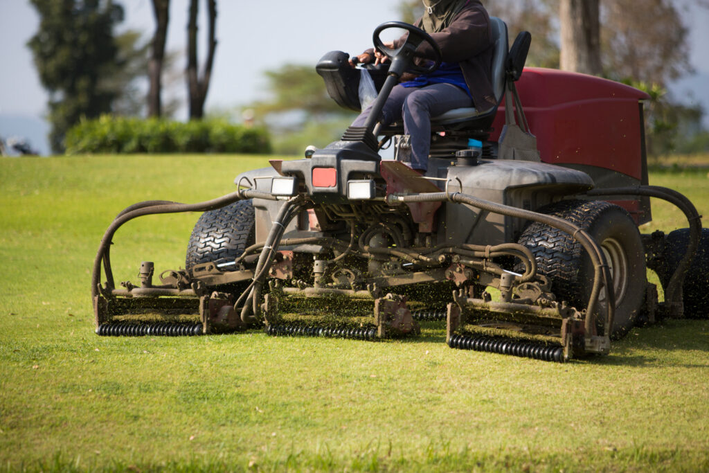 Lawn Mower Training