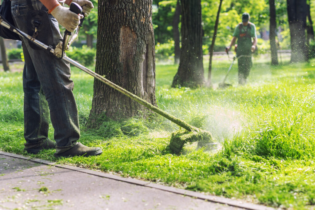 Strimmer Training