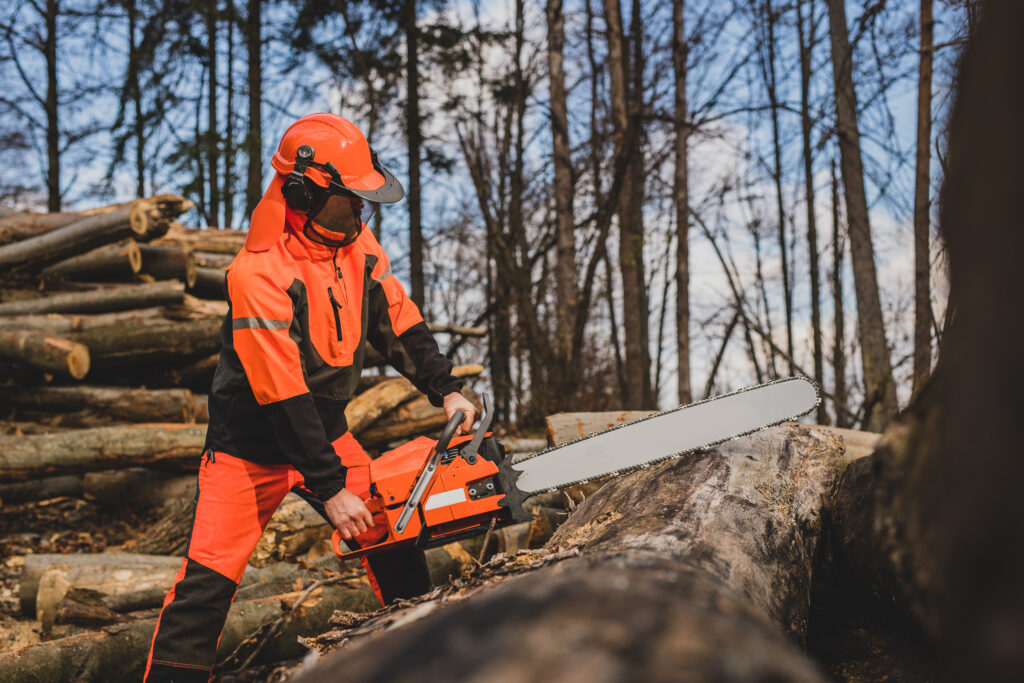 Chainsaw Training